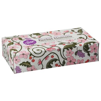 Natural Value Facial Tissues 2-Ply White Unscented 30/100 CT [UNFI #1215763] T