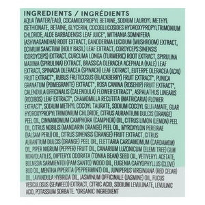 Acure Shampoo Juice Cleanse Supergreens & Adaptogens 1/8 OZ [UNFI #2527083] T