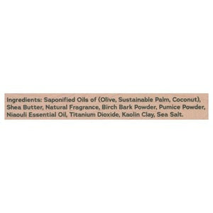 Dr Squatch Soap Birchwood Breeze Mens Natural Medium Grit 1/5 OZ [UNFI #2878270] T